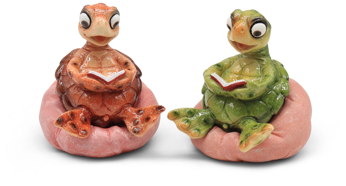 Schildi grün/braun auf Kissen