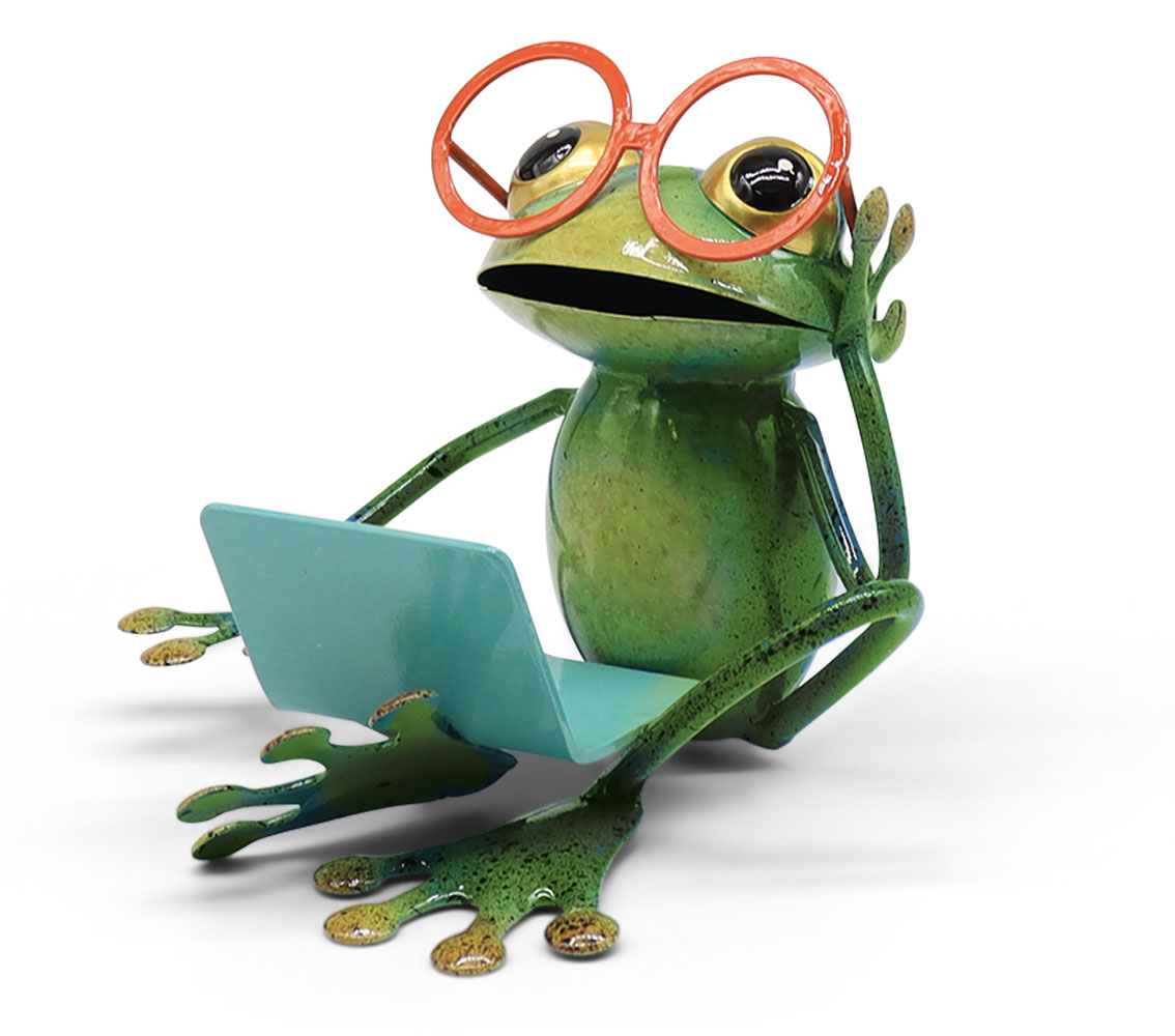 Frosch Canyon mit Laptop