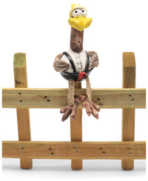 Fence-sitting vulture