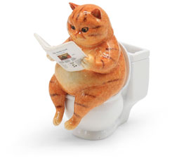 Mr. Felix auf Toilette