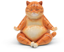 Mr. Felix macht Yoga